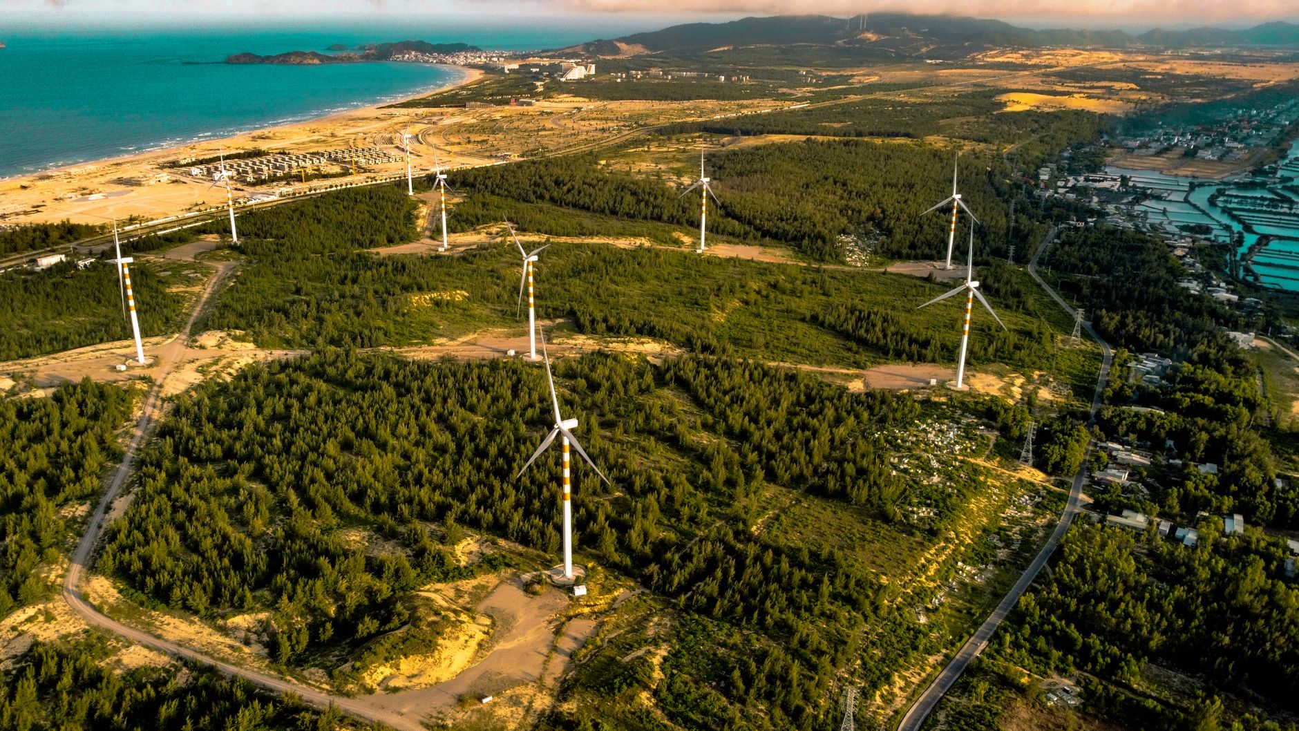 Quelles implications pour les entreprises utilisant l'IA dans leur contenu ?