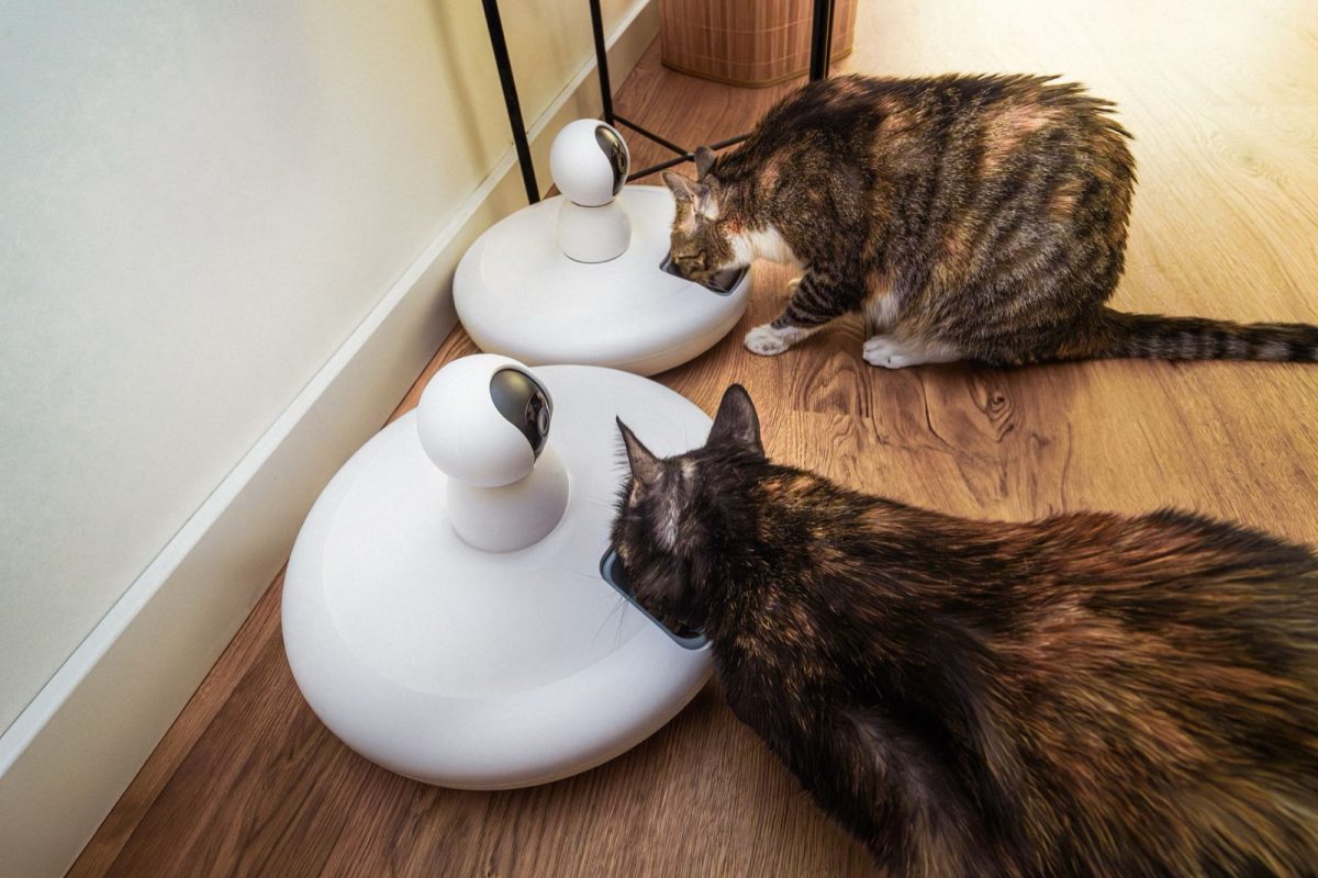 Comment automatiser la distribution de nourriture des animaux