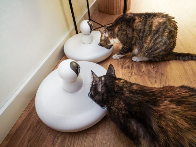 Comment automatiser la distribution de nourriture des animaux