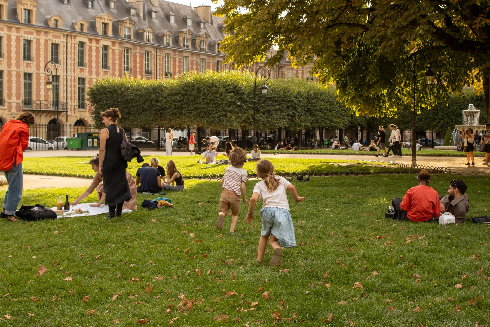 Automatisation des études consommateurs : un virage stratégique incontournable